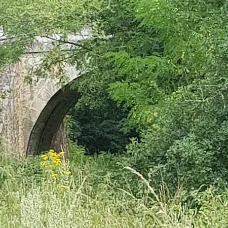 Bas-en-basset, Haute-loire, Maison Et Jardin Atypique Pleine Nature *
