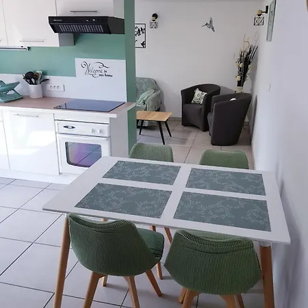 GITE BAS-EN-BASSET, HAUTE-LOIRE, MAISON CLIMATISEE et JARDIN ATYPIQUE PLEINE NATURE Hébergement de vacances Bas-en-Basset