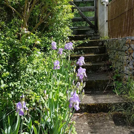 Bas-en-basset, Haute-loire, Maison Et Jardin Atypique Pleine Nature * Bas-en-Basset
