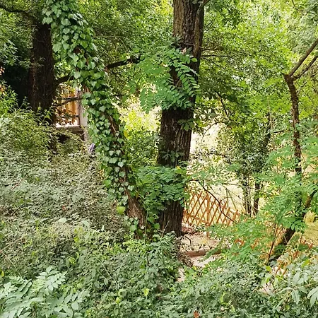 Bas-en-basset, Haute-loire, Maison Et Jardin Atypique Pleine Nature * Bas-en-Basset