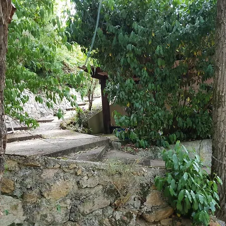 GITE BAS-EN-BASSET, HAUTE-LOIRE, MAISON CLIMATISEE et JARDIN ATYPIQUE PLEINE NATURE * Bas-en-Basset