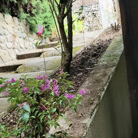 Bas-en-basset, Haute-loire, Maison Et Jardin Atypique Pleine Nature *