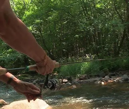Bas-en-basset, Haute-loire, Maison Et Jardin Atypique Pleine Nature