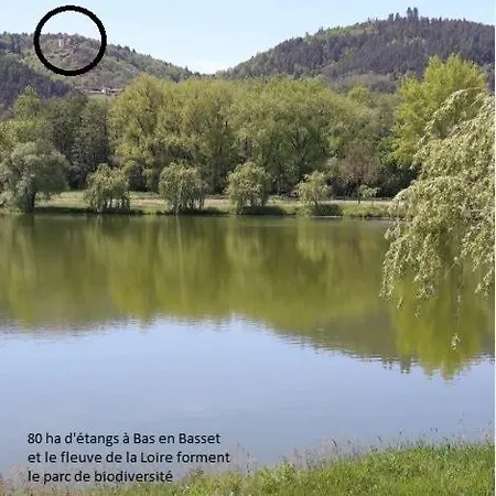 GITE BAS-EN-BASSET, HAUTE-LOIRE, MAISON CLIMATISEE et JARDIN ATYPIQUE PLEINE NATURE * Bas-en-Basset